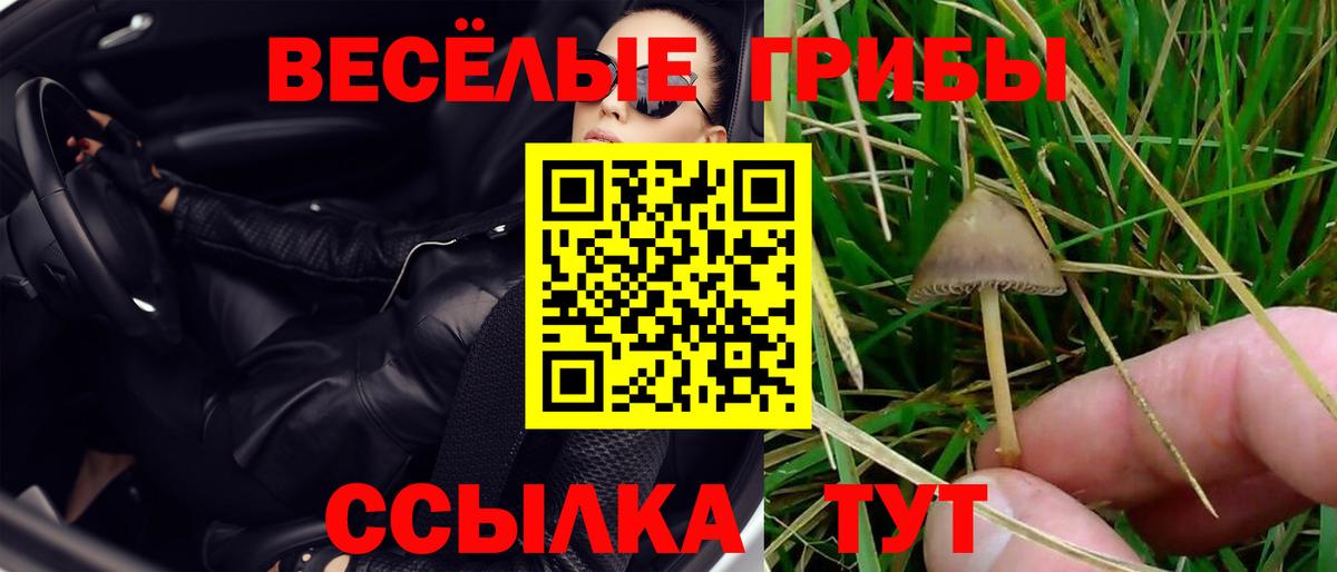 Галлюциногенные грибы GOLDEN TEACHER  Псилоцибиновые грибы Psilocybe  Вход с VPN  Клин 
